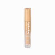 Hydro Stay Concealer