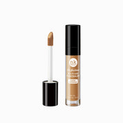 Perfection Concealer